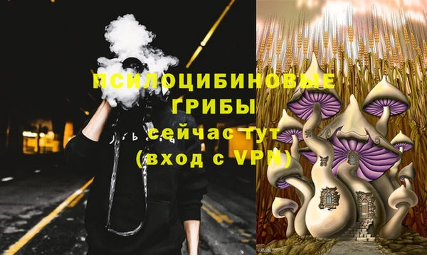 бошки Алексин