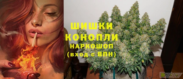 сатива Абаза