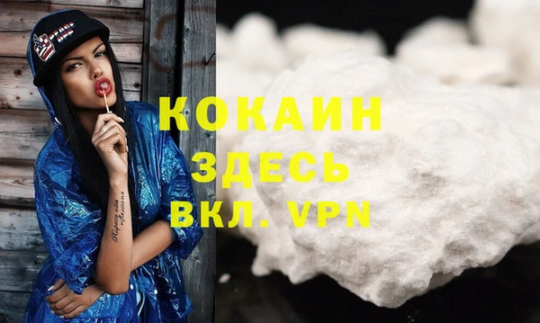 сатива Абаза
