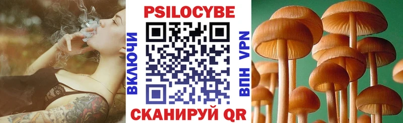 Галлюциногенные грибы Magic Shrooms Чкаловск